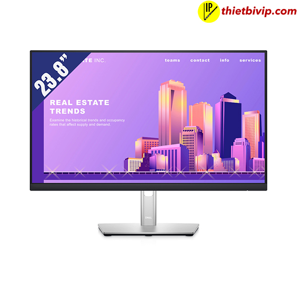 Màn hình Dell LCD P2422H 23.8